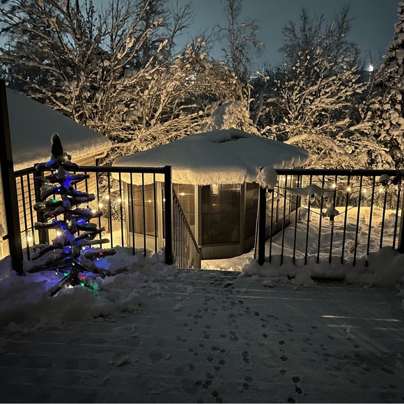 Meet your Posher, Bruce - Picture 4 of 5